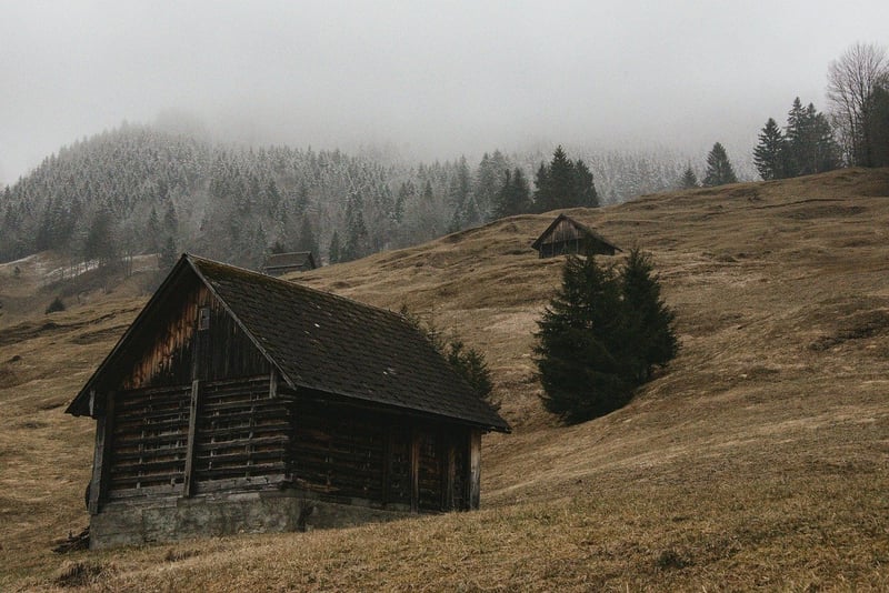 Forest Cabins